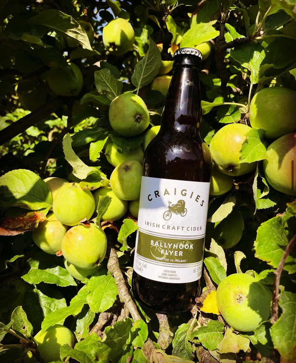With the harvest only a matter of days away, we are so excited about turning this years apples into beautiful Irish Cider. 

#drinkresponsibly