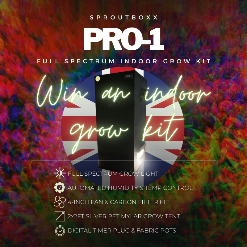 SproutBoxx's tweet photo. UK Lucky draw closes 4th Oct 4:20pm GMT. Enter now for a chance to win a #SproutBoxx grow kit at https://t.co/Gy5dyue1Ht β²οΈtick-tock growmies! #ukcannabis #uk https://t.co/Rx7kCUD3w8