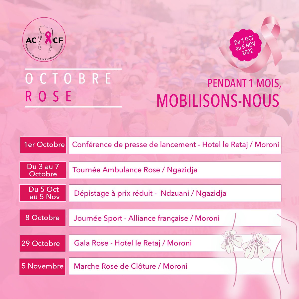 🎀 Octobre Rose 🎀

Mois de mobilisation intense pour votre association ACCF.

Êtes vous prêt.e.s?  
Nous avons hâtes de vous y retrouver. 

#OctobreRose #programme #comores #cancerdusein