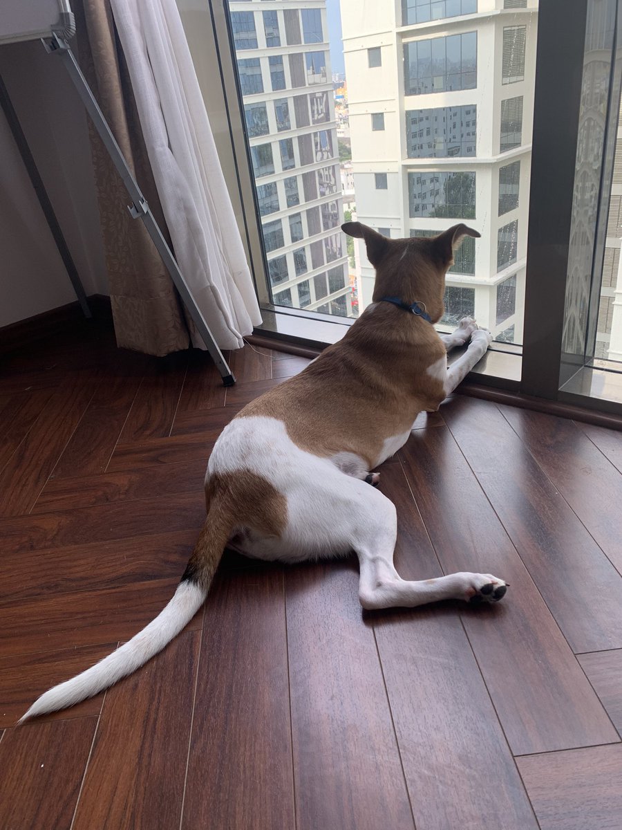 Falooly's tweet photo. #DailyDobby https://t.co/xrA9IzCVLf