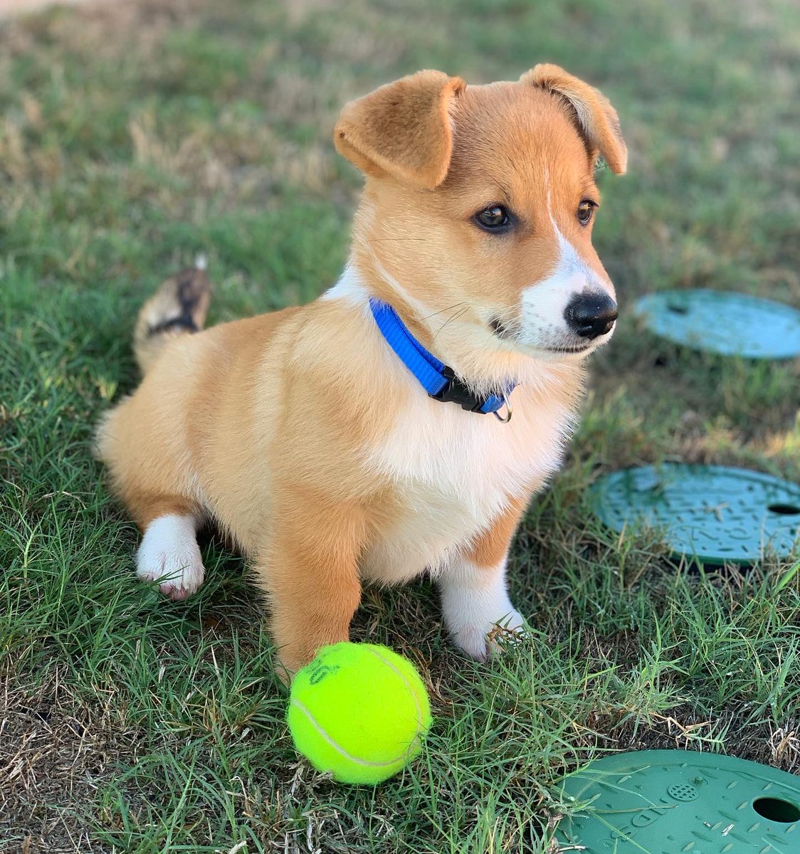 sabwow's tweet photo. we are also working on his model portfolio🤞 open to work @Chewy https://t.co/KZC9HgCwQq