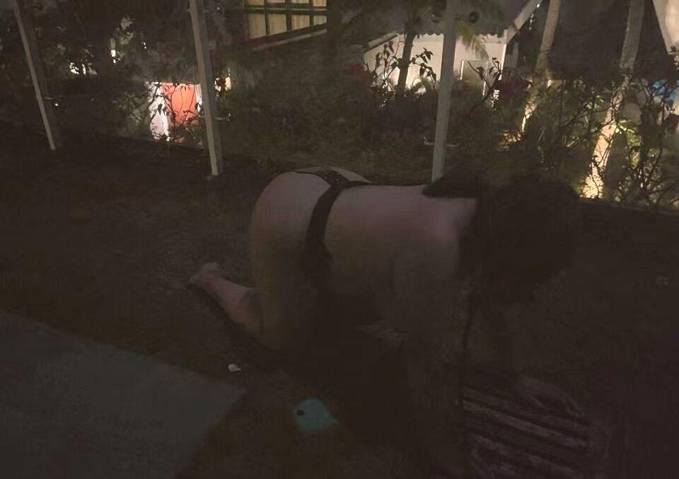 qiangwe9000's tweet photo. 有没有母狗想调教的 本主全能型主 擅长开发 开发你家人 朋友 想刺激的可以留言 绿奴 废物狗 母狗 夫妻奴母子等等都可以私聊  操你麻痹的 废物东西留言 你个千人骑万人干的烂逼 天天扒开狗比求轮的贱货 天天发骚发浪的烂逼 https://t.co/4yOg3ktGVE