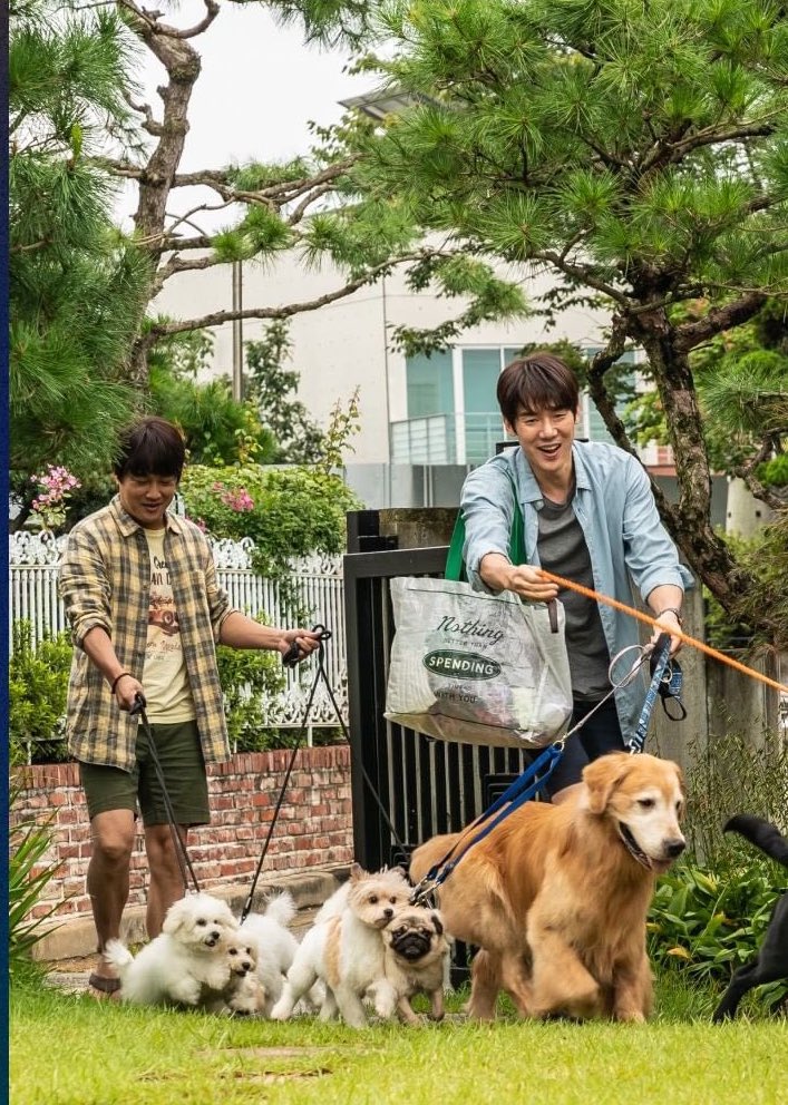 大型犬しかいないこの画像好きすぎる❤️‍🔥❤️‍🔥❤️‍🔥❤️‍🔥❤️‍🔥ずっと犬と関わっててよねヨンソクオッパ🥹🥹🥹とにかく世界観がかわいいです😭😭😭