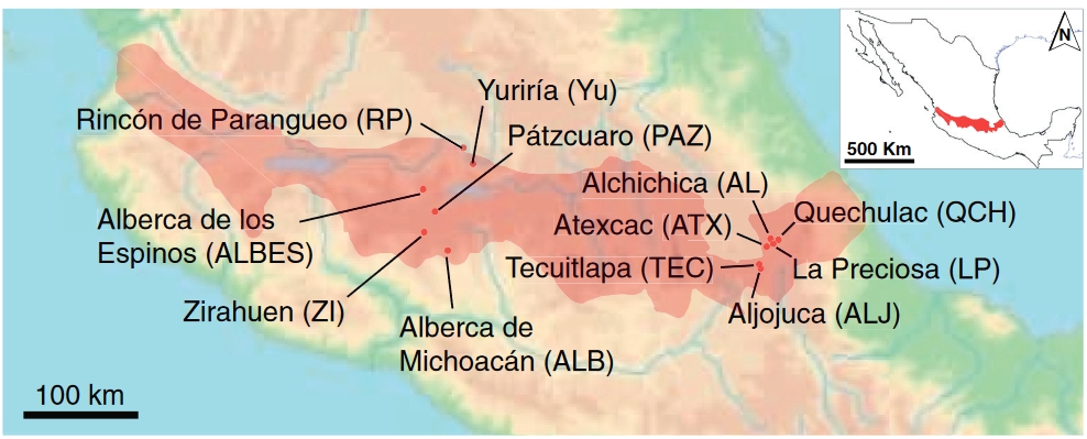 We have just published our analysis of plankton communities in a series of Mexican crater lakes characterized by the presence of microbialites.

Open access: aslopubs.onlinelibrary.wiley.com/doi/epdf/10.10…