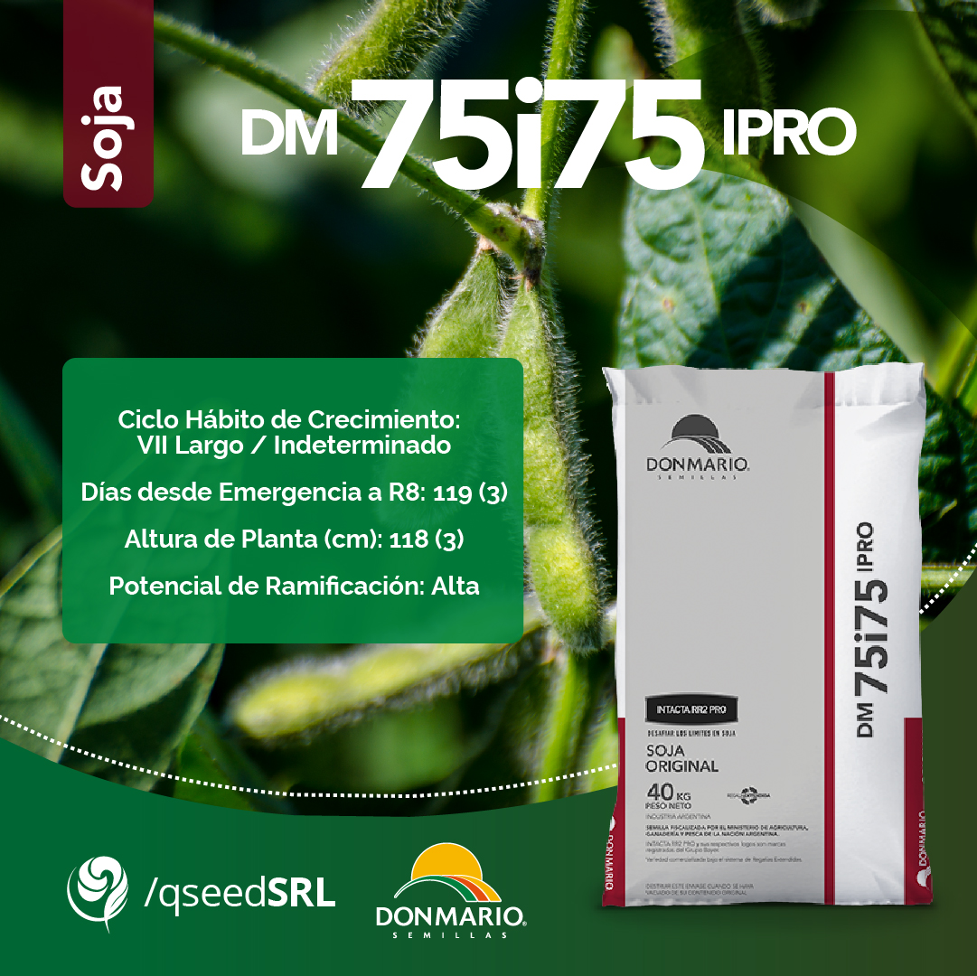 QseedSrl's tweet photo. #Sembramos, #Multiplicamos y #Distribuimos genética de excelencia 🌱🔬
👉 Somos un equipo responsable que trabaja para conseguir un proceso de producción agropecuaria exitoso🙌 
¡Para esta nueva campaña de #Soja, mirá las variedades @DONMARIOoficial  que tenemos disponibles!🤳 https://t.co/RU2hsvoryM