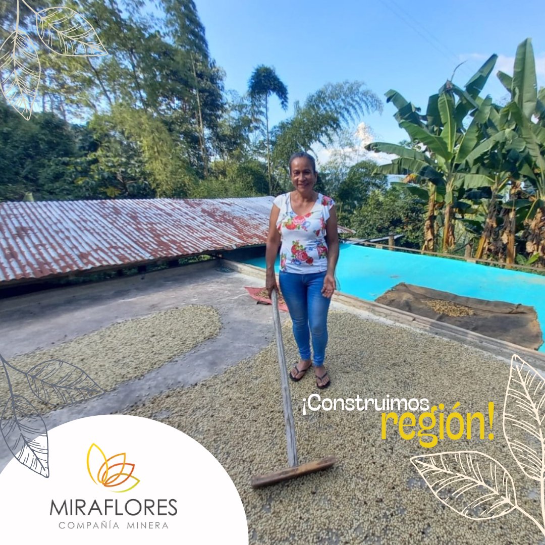 MCM_Miraflores's tweet photo. En la región, contamos con mineros que también se han dedicado a la agricultura, "agromineros". En Miraflores Compañia Minera, impulsamos el desarrollo productivo  y la generación de nuevas oportunidades para las comunidades vecinas. #CompromisoDeOro con nuestra región. https://t.co/bPx0kmpxF2