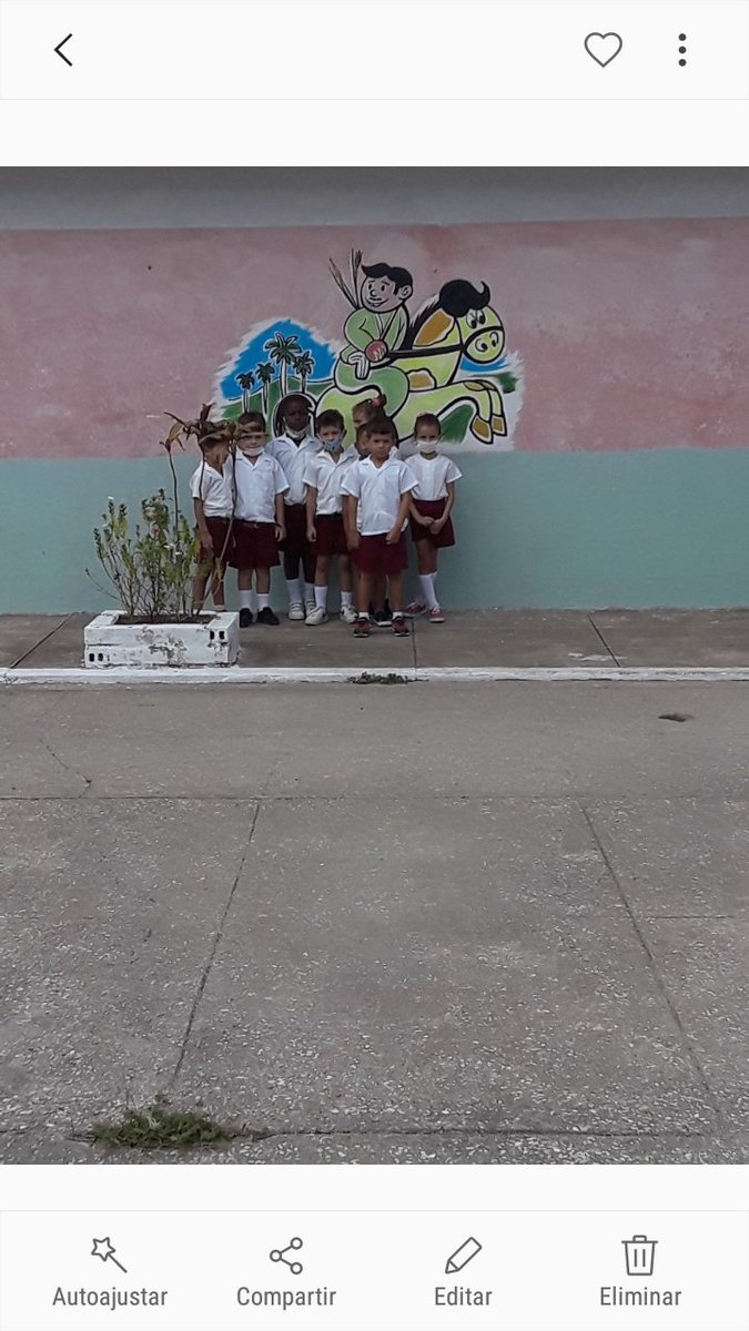 PrimariaJosMac2's tweet photo. Matutino Especial en saludo al 62 aniversario de la creación de lo CDR https://t.co/NYMkmkMrMu