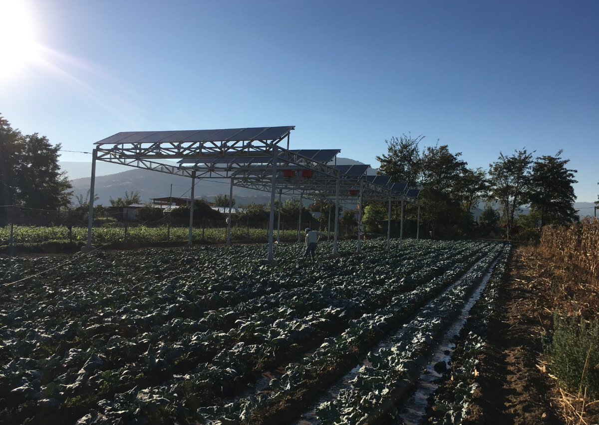 🌞🌱 📈¿Quieres conocer más detalles sobre los resultados tecno-económicos del estudio llevado adelante por Fraunhofer Chile sobre Agrivoltaico en la zona central de Chile?➡️ Esta publicación científica puede ser lo que buscabas aip.scitation.org/doi/abs/10.106…