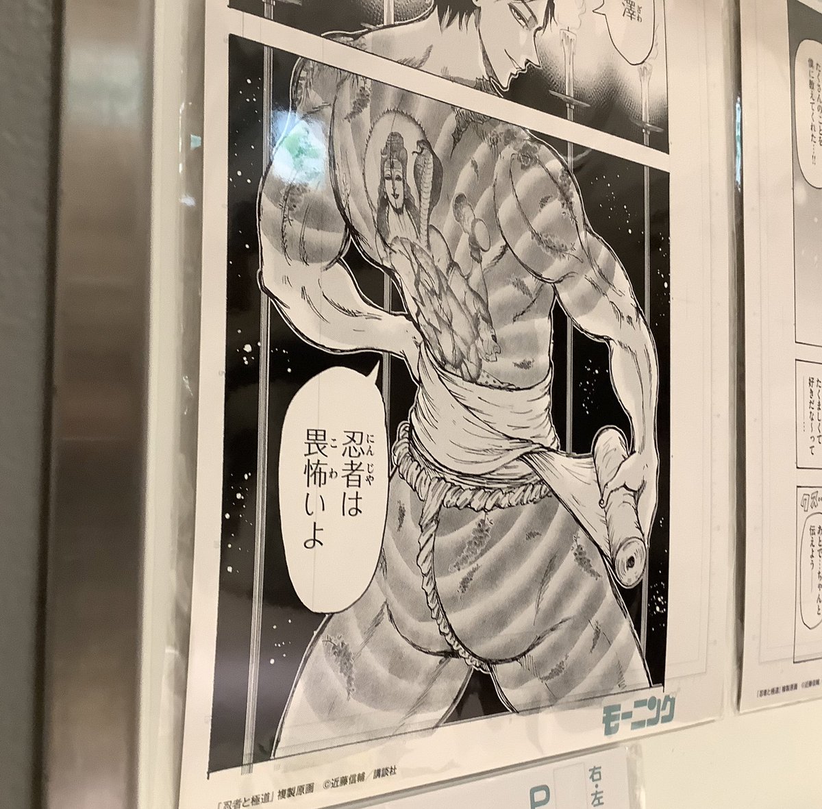 近藤信輔 忍者と極道 単行本 巻9月14日発売 Kong Doing Twitter