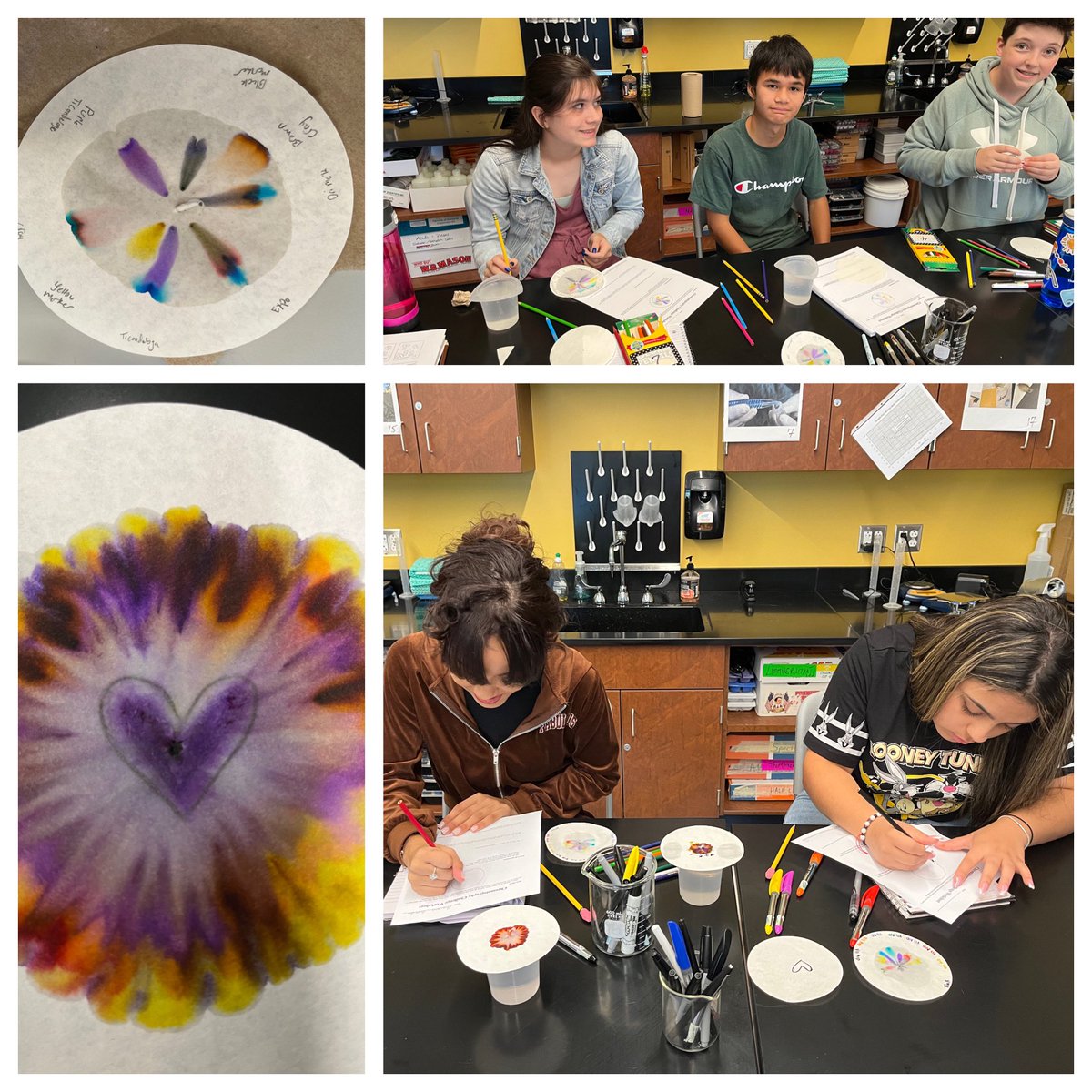 Chromatography in chemistry today!  Engagement enhances learning!  Go lions!
