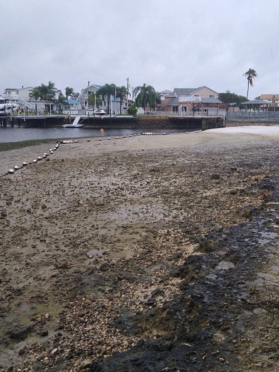 IAN DRAINS TAMPA BAY: Remember when Hurricane Irma drained waterways around Tampa Bay? It's happening again. (Images: Hudson Beach, Manatee River, off Clearwater Memorial Causeway, Hillsborough Bay). MORE HERE: bit.ly/3SqMJQ3