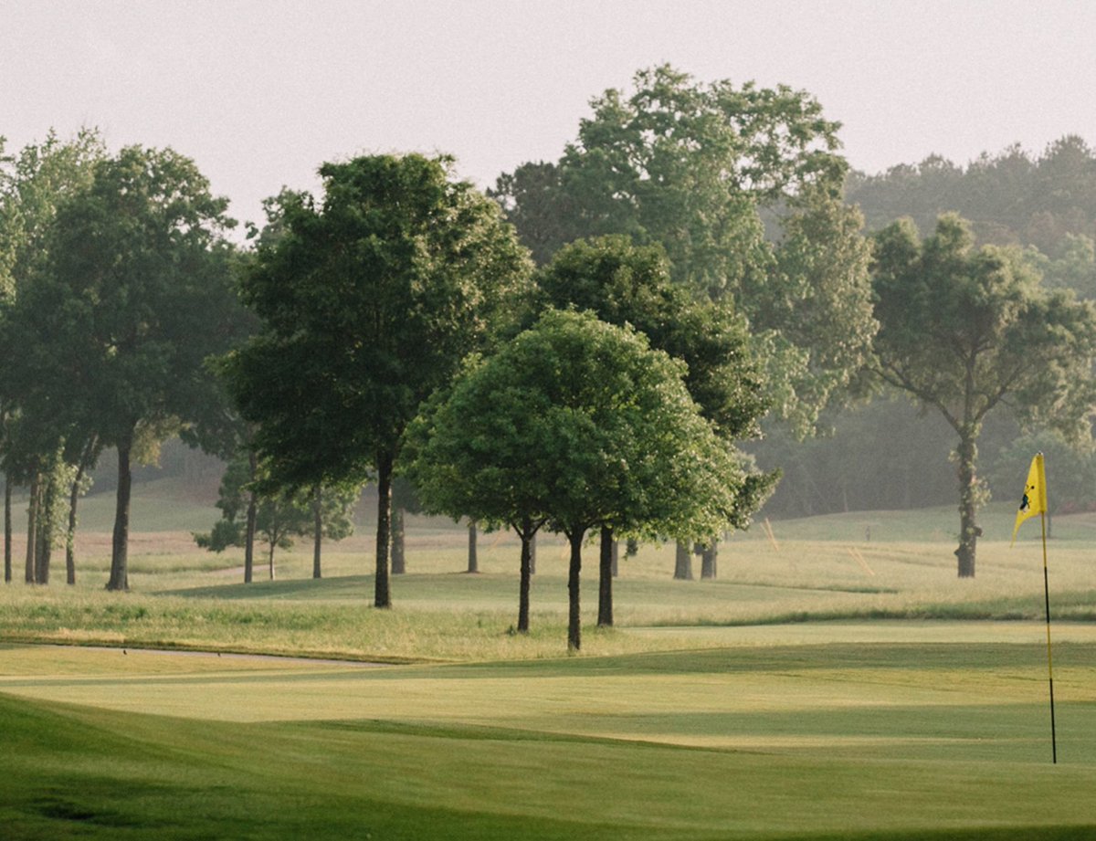 PursellFarms's tweet photo. We're thrilled to be showcased in the newest issue of @GolfersJournal. THX @jayrevell. #bigtime #FarmLinks #golfcourse https://t.co/rU2FbAZKly