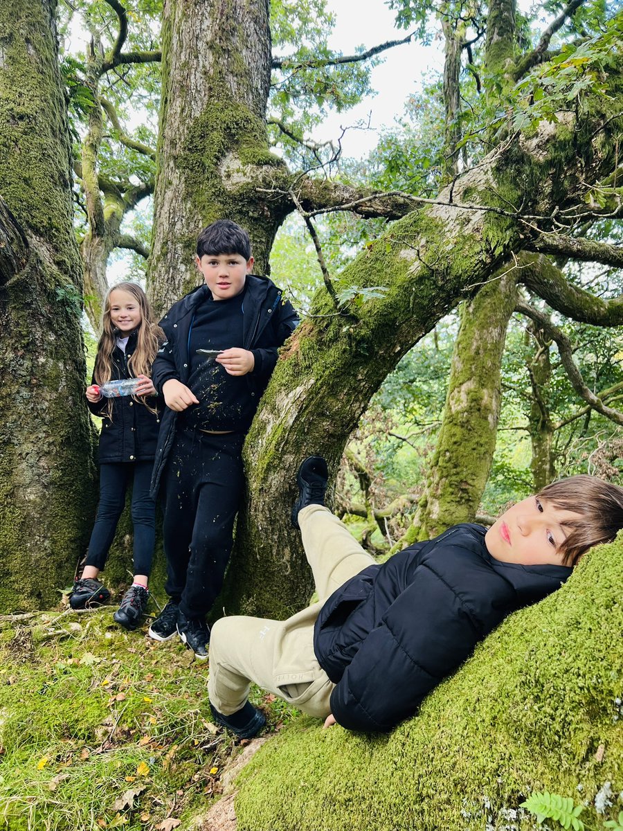 Mr D Terfel tweet media