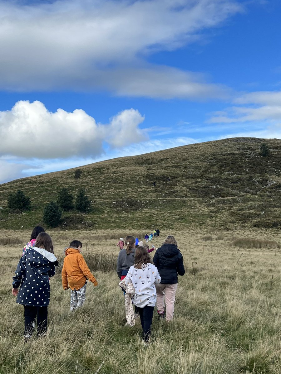 Mr D Terfel tweet media