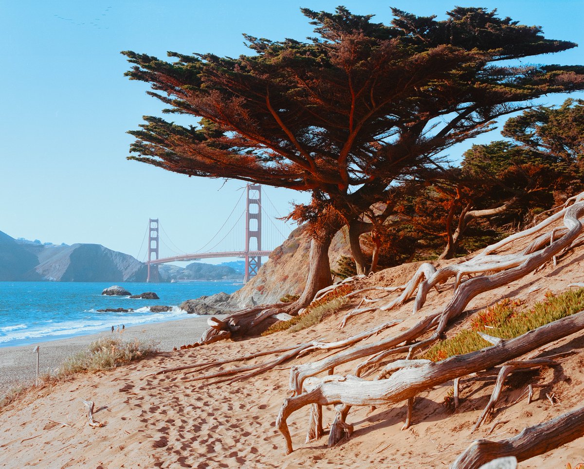 takeuchifilm's tweet image. Pictures I took on medium format film