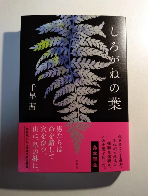 千早茜さんの『しろがねの葉』(新潮社)をお送りいただいた。表紙がまた美しい…。千早さん初の時代小説、しかも戦国末期の石見銀山の話とのことですごく楽しみ。 