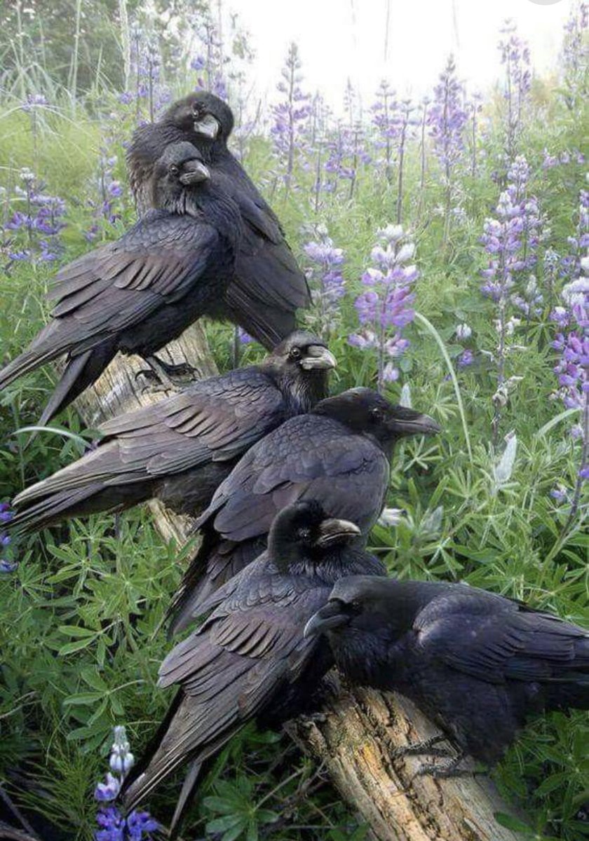 New album cover dropped