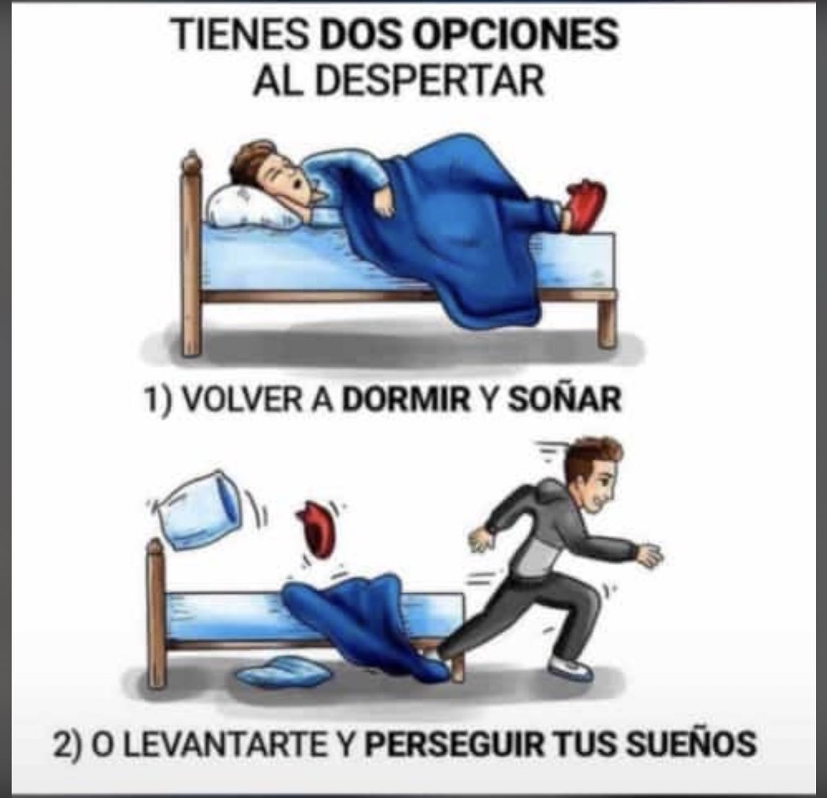 OttoTachiVT's tweet photo. Buenos días YENTE DE TUITER ! https://t.co/qeae1RqcQo