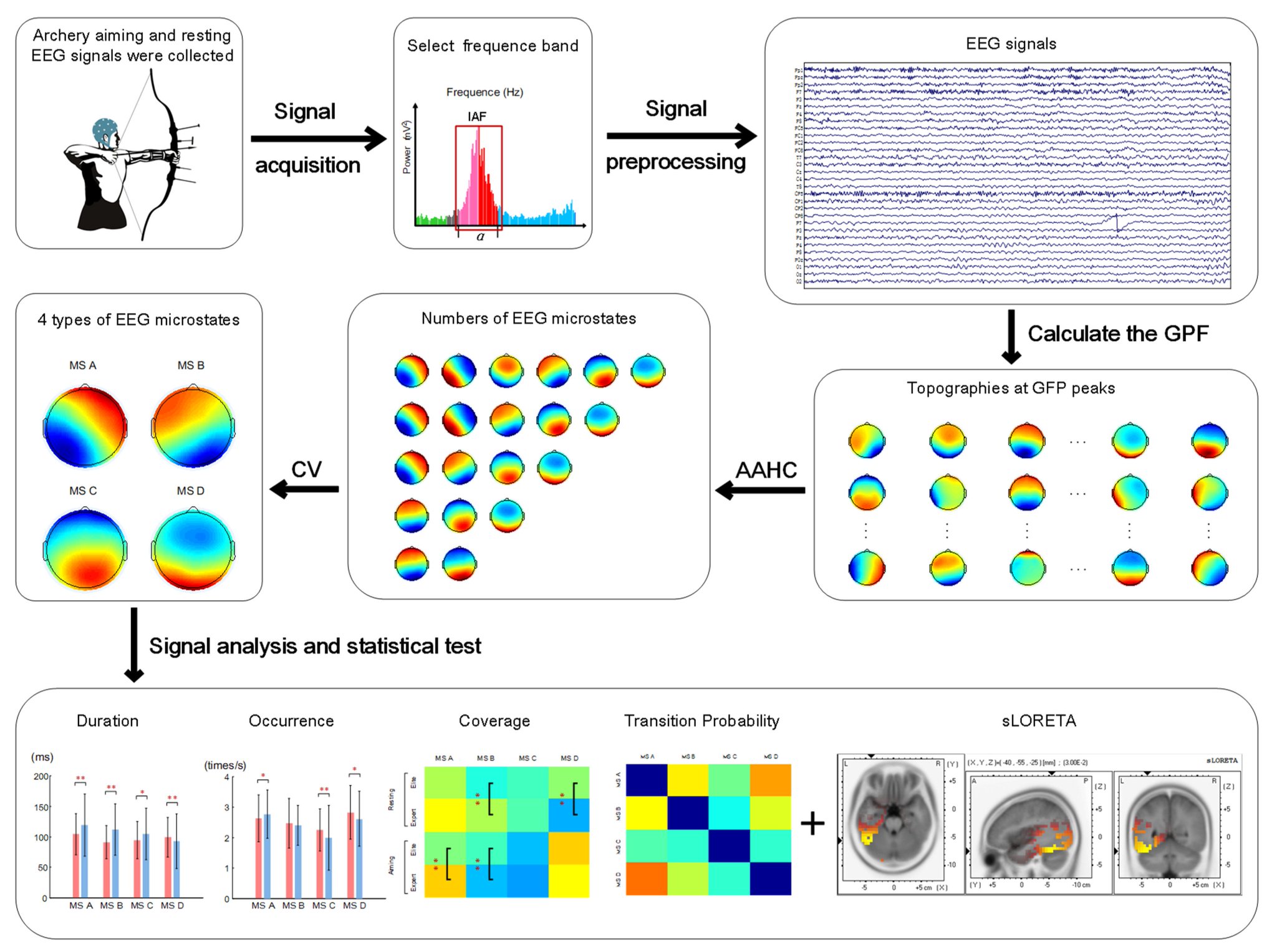 Brain Sciences MDPI on Twitter "mdpibrainsci Research on Top Archer’s