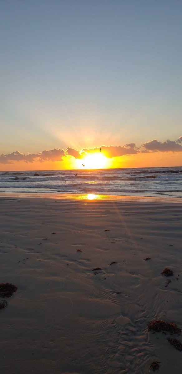 DollyCol22's tweet photo. @KRIS6News This morning Stef at #WhitecapBeach https://t.co/qq6uZ0KBNc