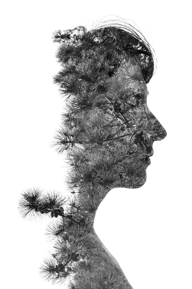 benfphoto's tweet photo. For the next two weeks I'm exhibiting some pieces as part of the ALEA CLUB collective exhibition at the Cale 2 Créateurs in Nantes, open Wednesdays and weekends PM. I'll be showing this #analogprint of *Thistled* on @ILFORDPhoto Warmtone Pearl paper #doubleexposure https://t.co/mXWWAOSgSC
