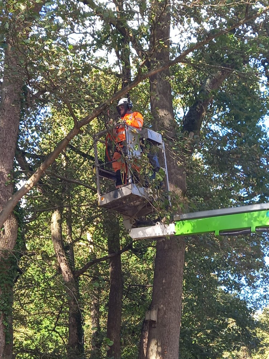 EAFormby's tweet photo. Well done to our team members, Jacob, Liam, Jack and Daniel for completing their Safe Use of a Mobile Elevated Work Platform and Use of a Chainsaw from a Mobile Elevated Work Platform courses.

#treeservices #groundsmaintenance #arblife https://t.co/vE7f0F7vc1
