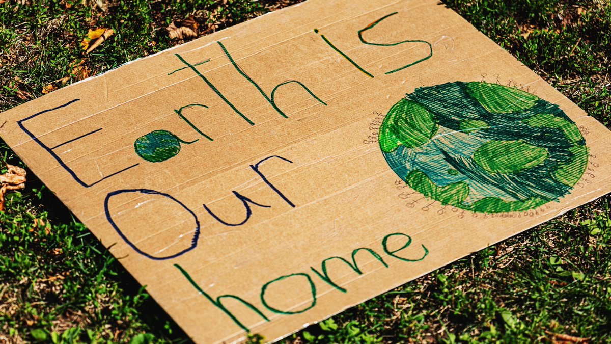 British Library tweet media