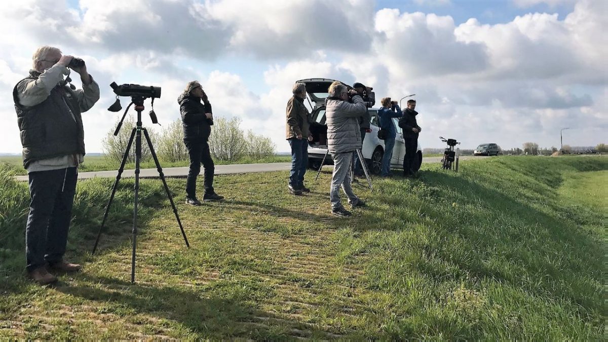 de Bunschoter tweet media