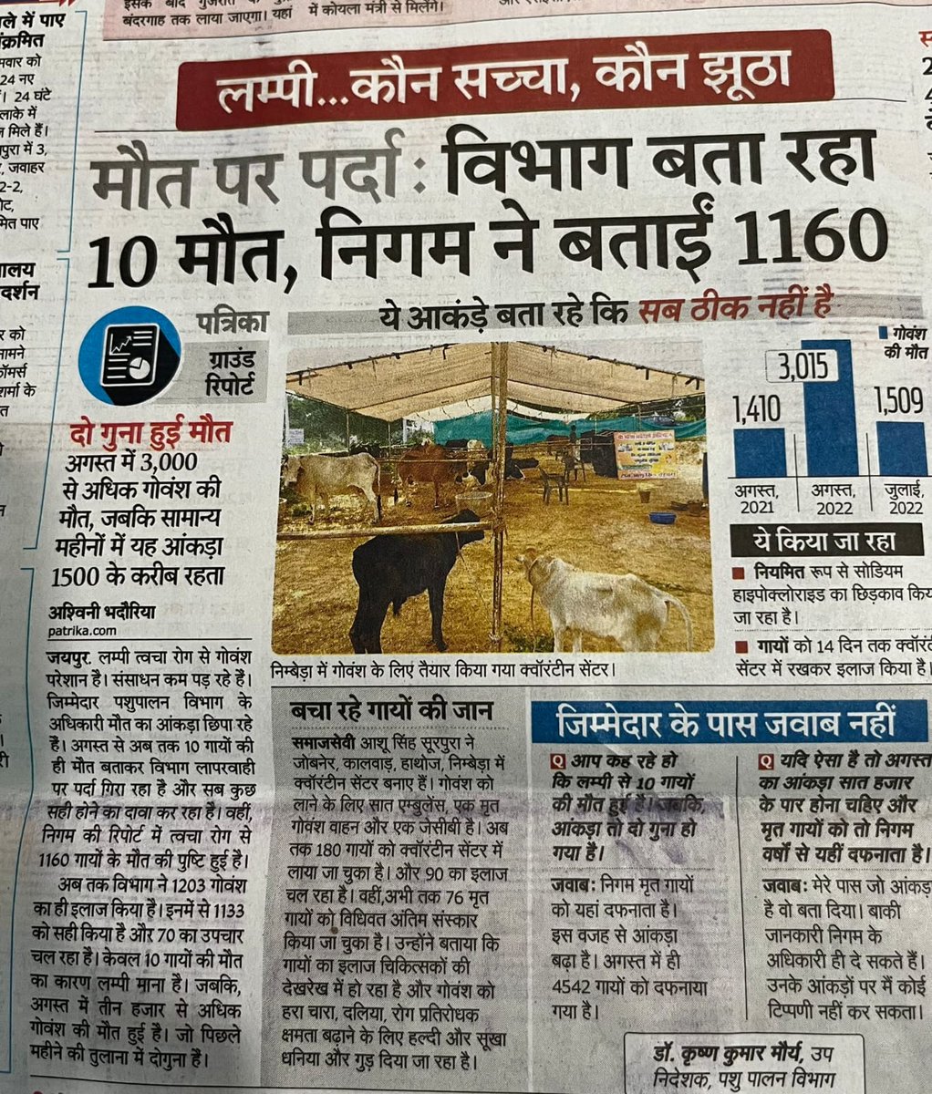 Kishanbhakrt's tweet photo. लंपी वायरस के कहर से राजस्थान का गोवंश लगातार काल कवलित हो रहा है लेकिन निर्दयी गहलोत सरकार गोवंश को संक्रमण से बचाने की बजाय गाय के नाम पर राजनीति पर उतारू है। प्रदेश में जगह-जगह मृत गोवंश के शव राज्य सरकार की संवेदनहीनता का प्रत्यक्ष प्रमाण है!

जय हो
#गौ_रक्षा_हमारा_कर्तव्य https://t.co/YrQhYJqLce