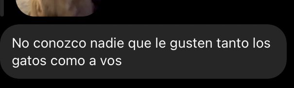 VickyCuloS2 tweet media
