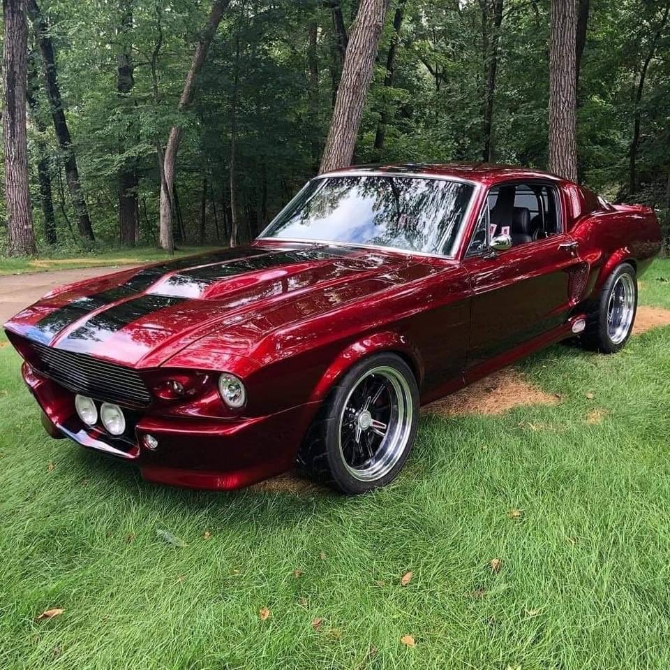 Dino Kasamis tweet media