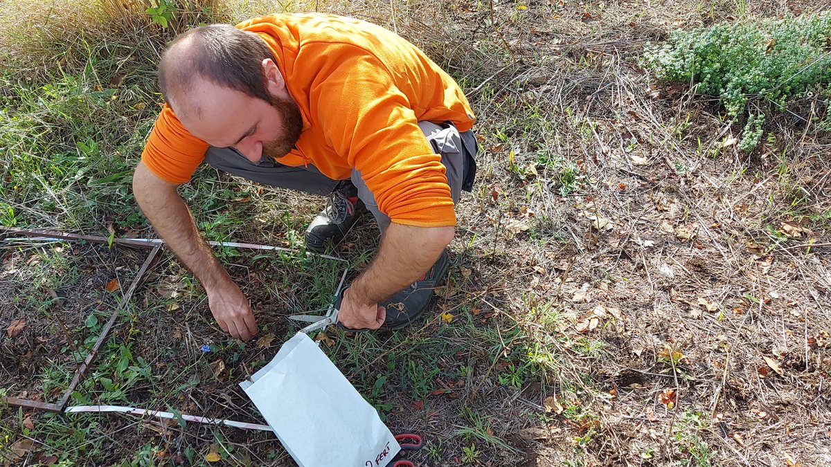 AGROECOseqC's tweet photo. 💚Another nice pic from @CREA_Ricerca: @AGROECOseqC is now sampling #soil for N and P content and soil enzyme activities at minimum #plant demand. 👀Follow us to stay uptodate!💪
@AGROECOseqC @EJPSOIL
#agroecology #covercrops #naturalcoverage #organicfarming #soilhealth https://t.co/96uZ0Q4bxm
