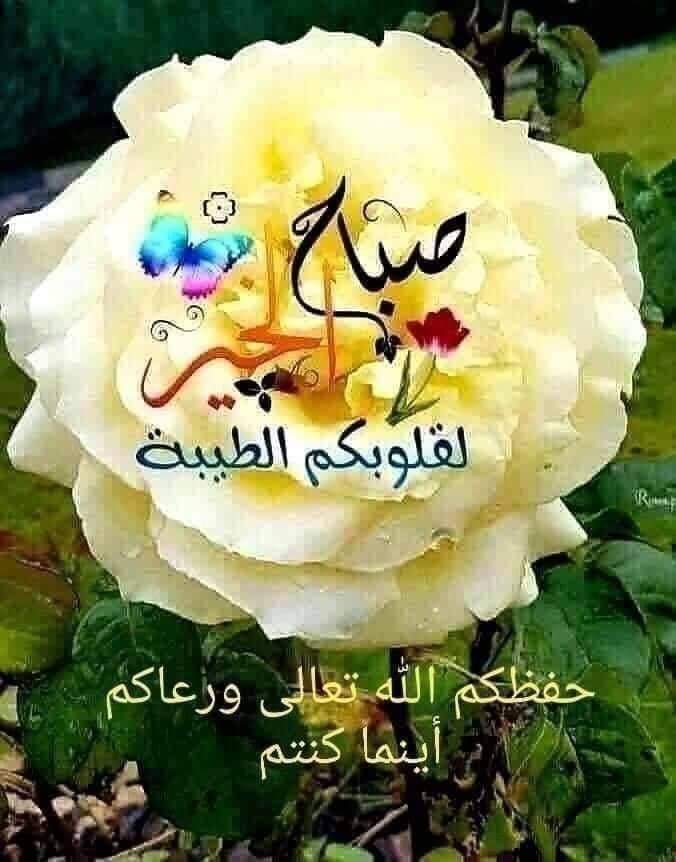 الزعيم المستر (@almstrym) on Twitter photo 