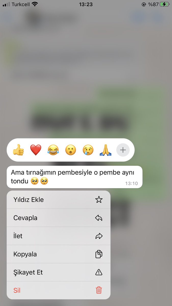 Bestim bu havada ojesiyle aynı rengi olan crobu kombin yapmaya çalışıyor :d::dD:D