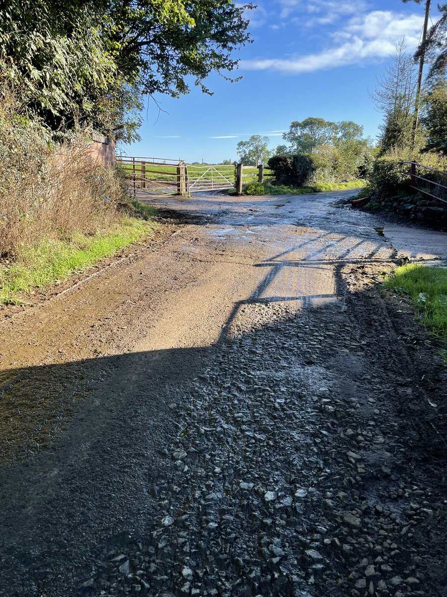 chatcullfarm's tweet photo. This is as good as we can get ours and still getting a persistent anonymous complaint 🙁 https://t.co/hxpAdzmVD3