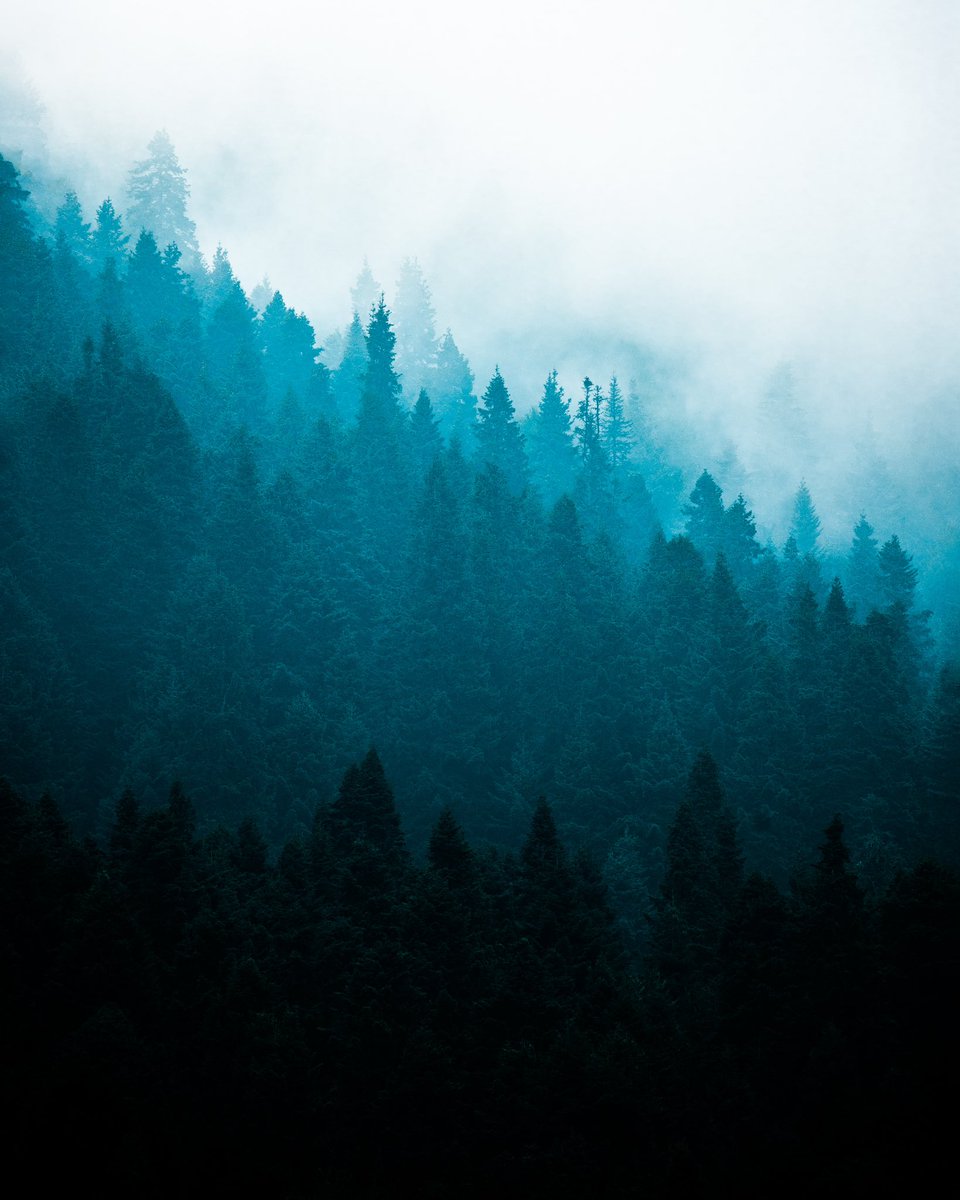 passengeresma's tweet photo. Bolu sonbahara adım adım hazırlanırken bir kaç günü burda kamp yaparak geçirdim. Fotoğraflara bakarak yağmurun en çok yakıştığı şehir Bolu diyebilir miyiz acaba? https://t.co/cmxjtaZ0yG