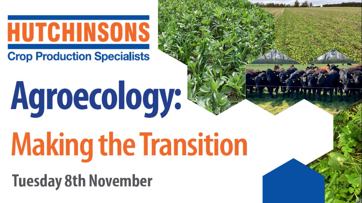 Book your FREE place on our first ever National Agroecology Conference on 8 November 2022 @thebelfryhotel ☑️ international line-up of speakers ☑️ farmers putting theory into practice ☑️ info from @LEAF_Farming, @NFFNUK and @FarmCO2Toolkit Book now: eventbrite.co.uk/e/agroecology-…