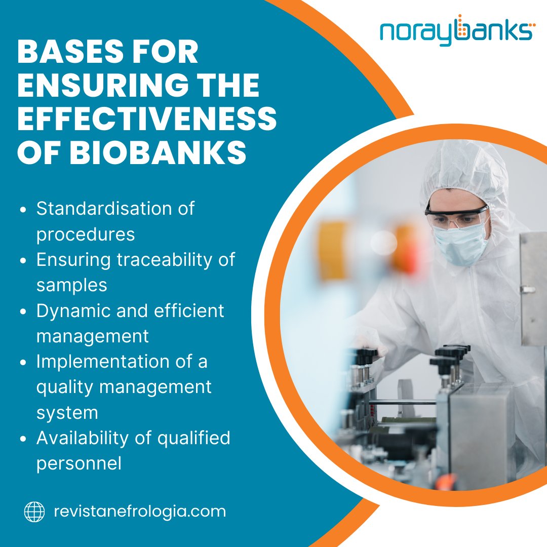 NorayBanks Software tweet media