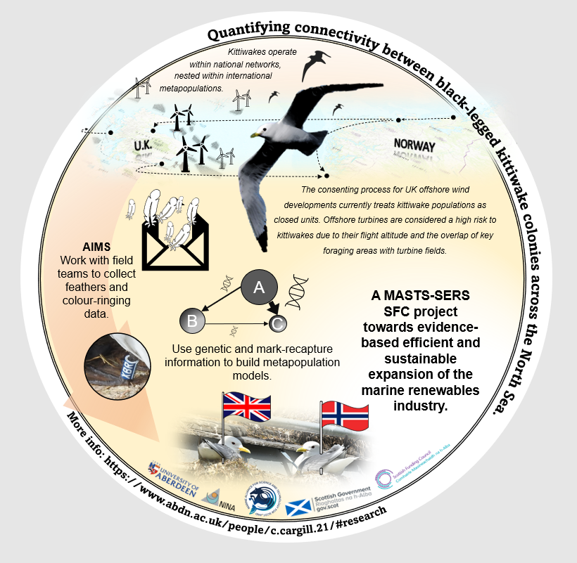 SMMR_UK's tweet photo. Following the recent #SMMRNet #infographics workshop with @nigelhawtin, two creative infographics were received for our competition. The winner of the competition was @meta_kittiwake who provided the fantastic infographic below! 1/3 https://t.co/U5tMFoD9lE
