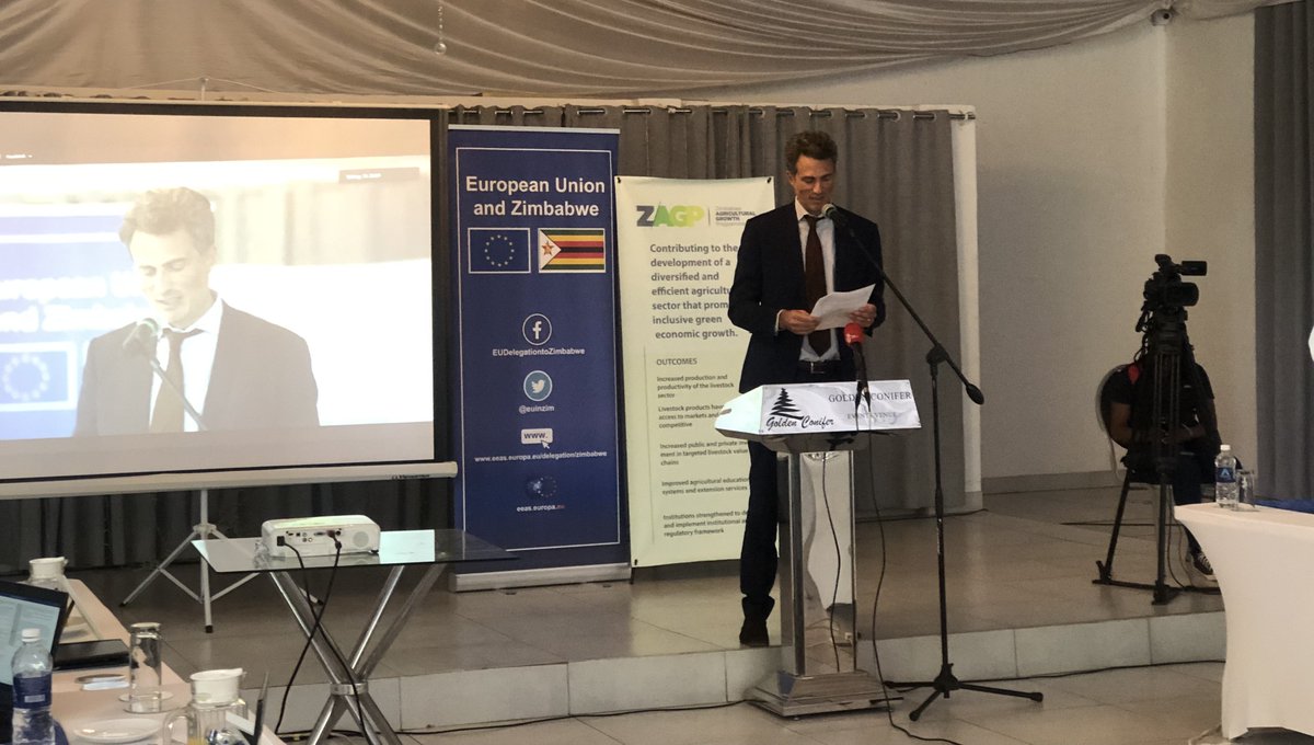 Inclusive Poultry Value Chain Zimbabwe tweet media