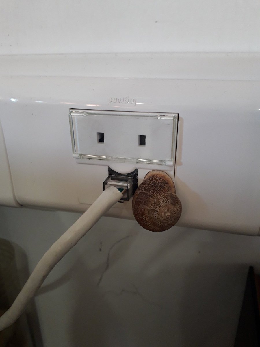 ¿Qué velocidad tienes contratada?