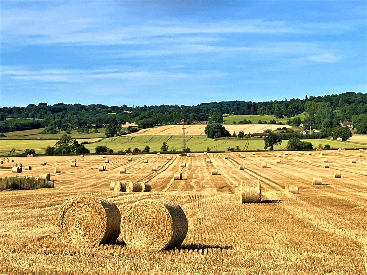 GEARING UP... Whilst we are fine-tuning this years Northern Farming Conference, we will reveal our (very impressive!) speakers, and open registration from Monday 3 October - via northernfarmingconference.org.uk Hoping to see you in Hexham on 2 November!