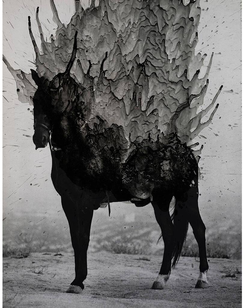 Vermibus tweet media