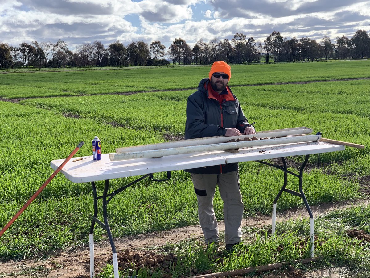 Greg Rebetzke tweet media