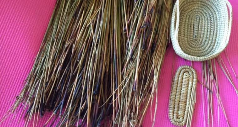 LesterRigney's tweet photo. @MikaylaKing2 Examiners passed thesis with NO CHANGES straight to publication for @MikaylaKing2 Masters thesis - Woven Curriculum: Aboriginal and Torres Strait Islander Voices in the Australian Science Curriculum (Years 1-3) https://t.co/WUoEruJ5Xo