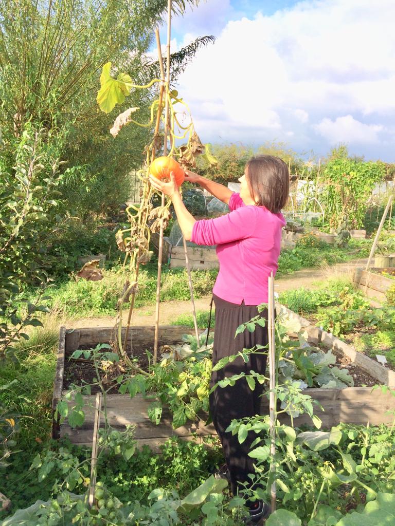 HarmonyGG's tweet photo. Some more pictures of our wonderful volunteers! https://t.co/93MQLrx2QE