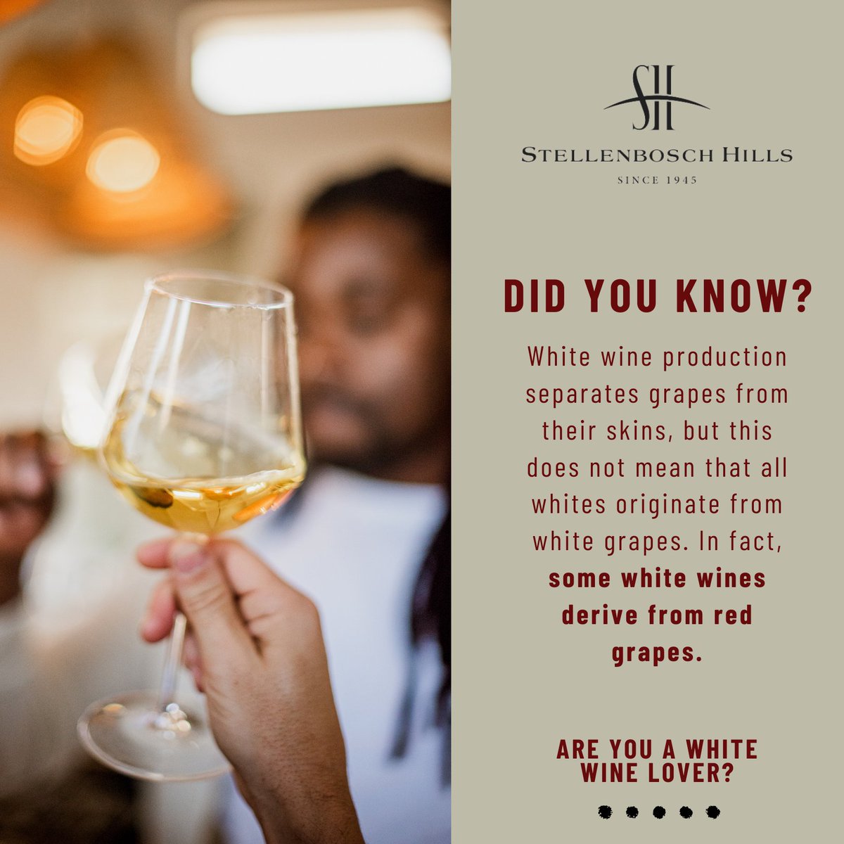 Stellenbosch Hills tweet media