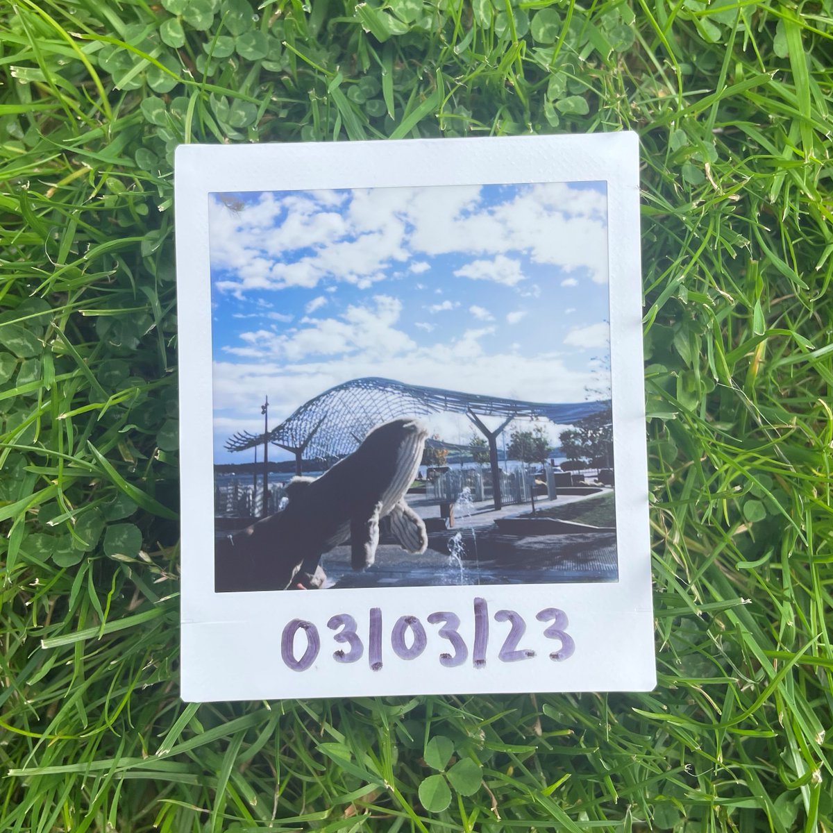 Abertay Hackers tweet media