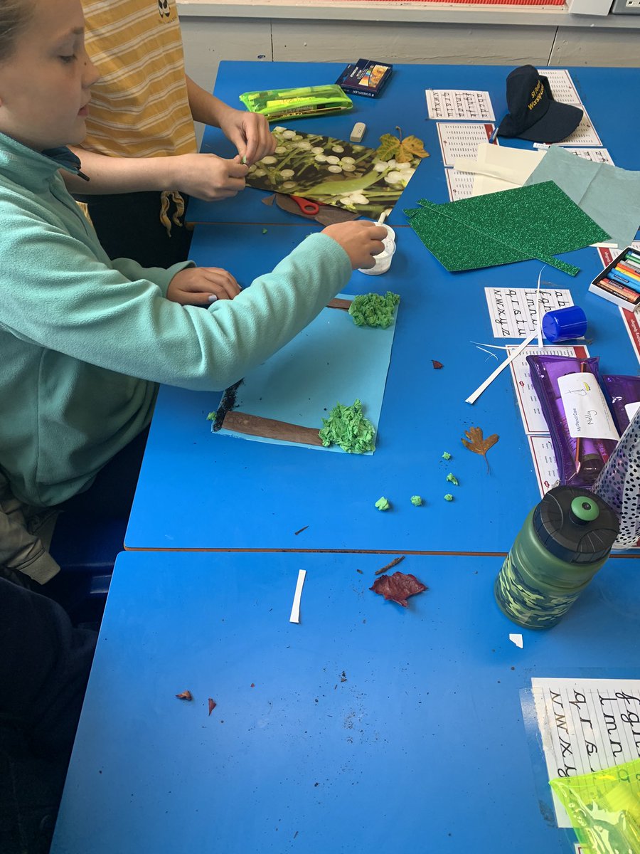 StPetersEarth's tweet photo. What a great day to send the first tweet! It is Mustard Seed Day at St Peter’s and all classes are looking at ways we can improve our environment and make more conscious decisions #LettersForCreation https://t.co/n6Yk6Rx3L4