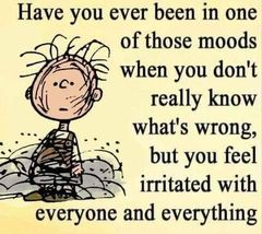 mrsfifties's tweet photo. Oh about 100% of the time https://t.co/EpfzJM9Pwf